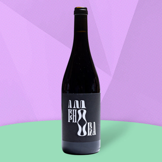 Amphora Pinot Noir 2022